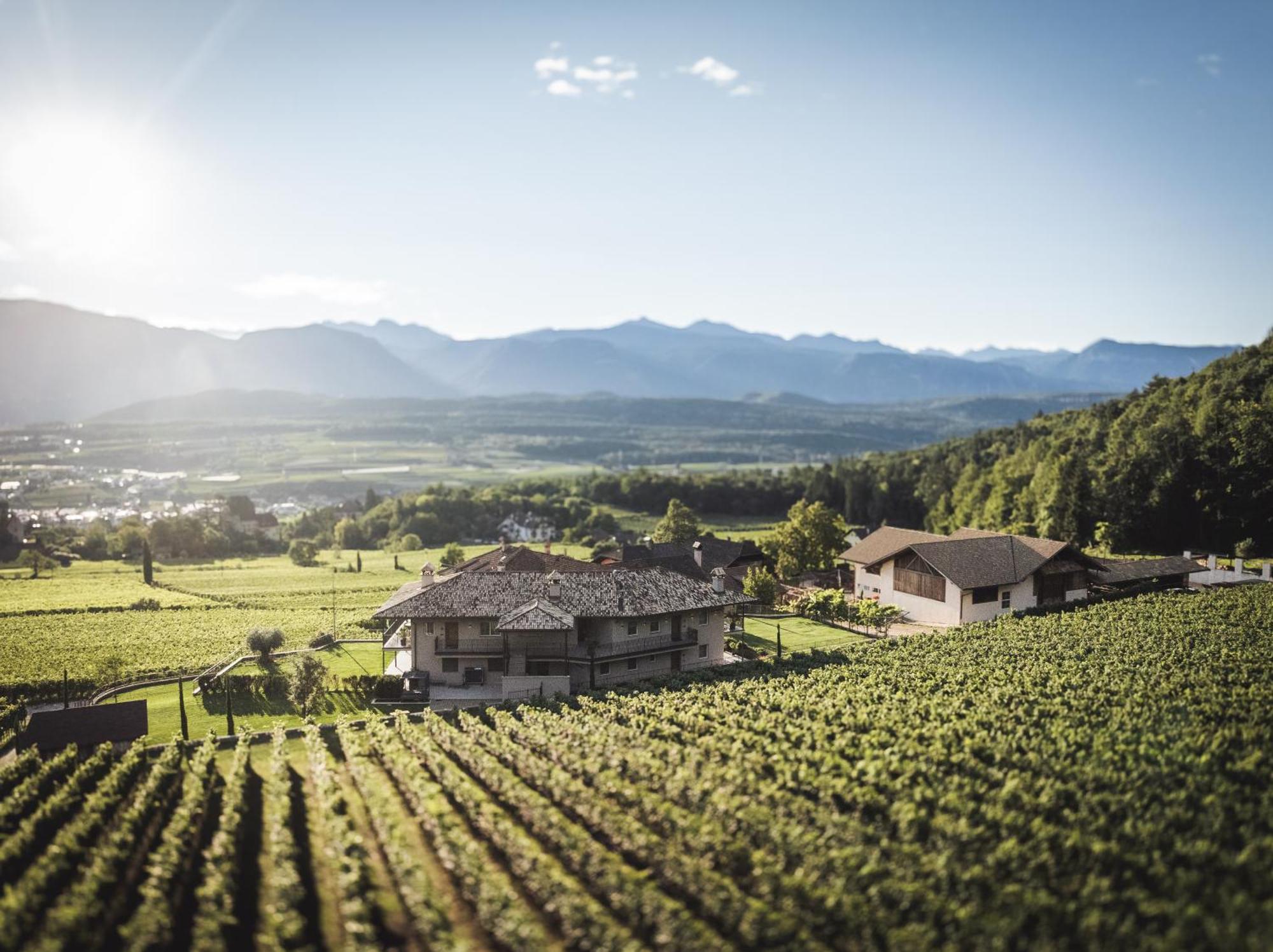 Nofnerhof Apartment Appiano Sulla Strada Del Vino Luaran gambar