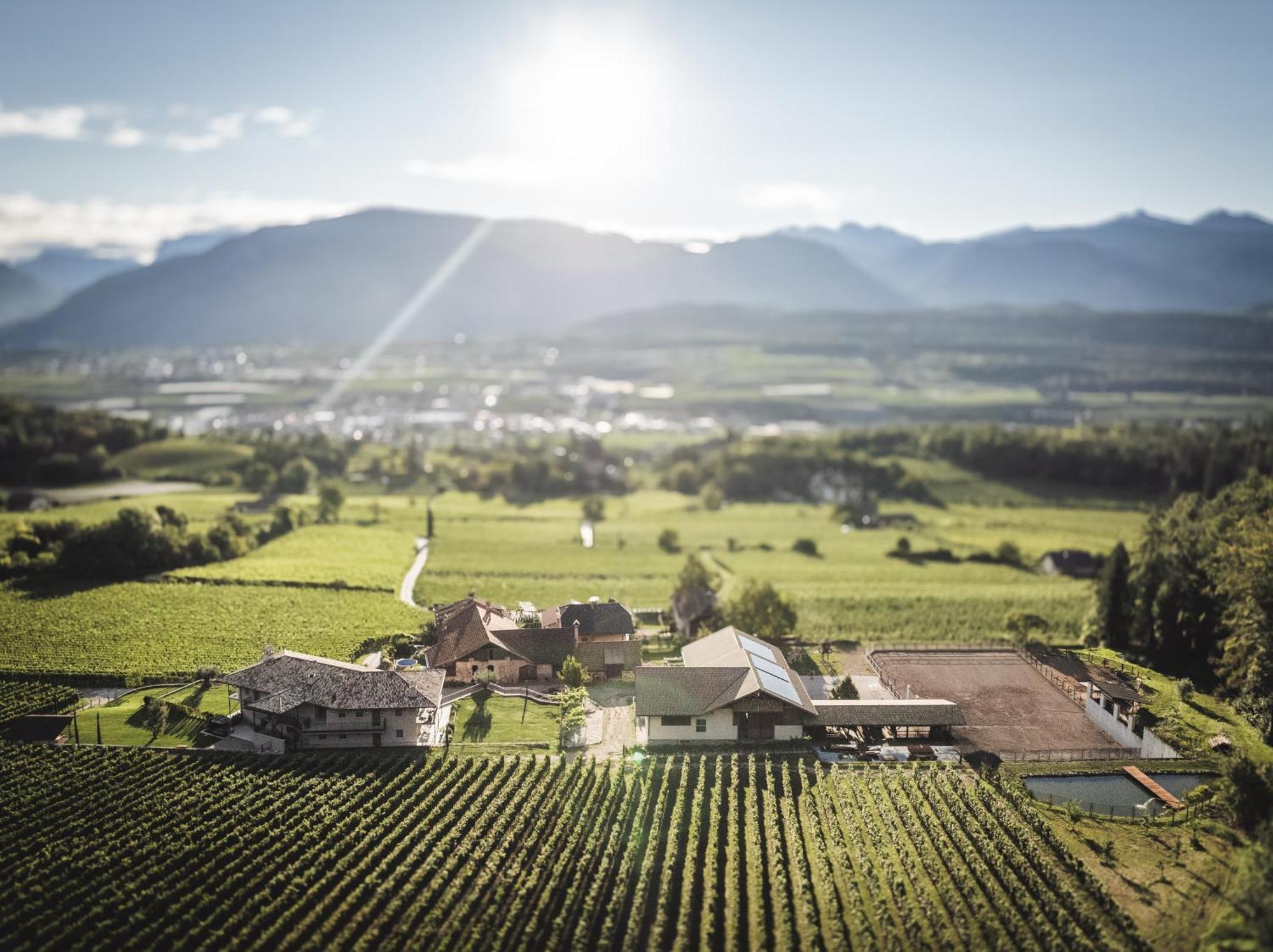 Nofnerhof Apartment Appiano Sulla Strada Del Vino Luaran gambar